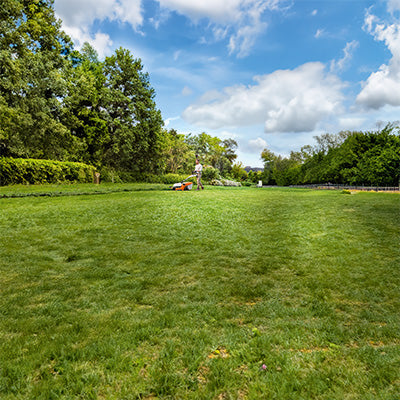 Best large lawnmowers