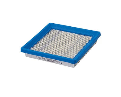 Briggs air filters