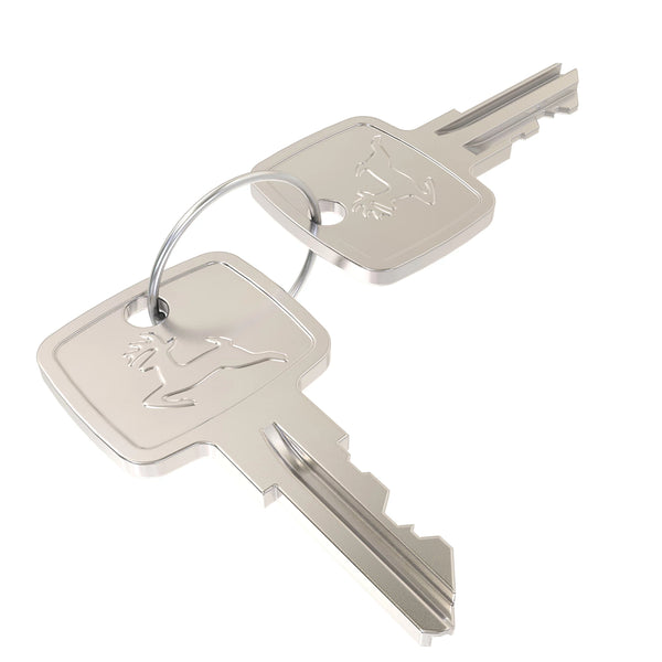 2 Ignition Keys For John Deere AR51481 – Fits Tractors, Gators, Loaders – Stevens Lake Parts