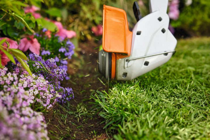 STIHL FSA30 Cordless Grass Trimmer