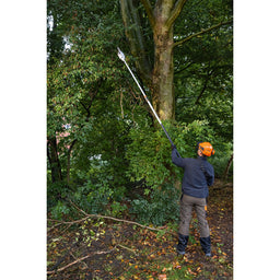 STIHL HTA 86 Cordless Pole Pruner