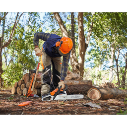 STIHL MS162 Chainsaw