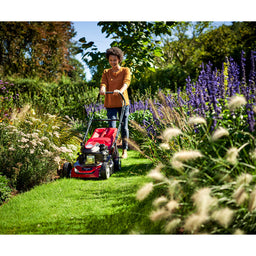 Mountfield SP46 Lawnmower