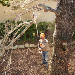 STIHL saw cutting branch