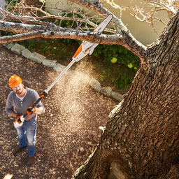 STIHL Pole Saw cutting branch