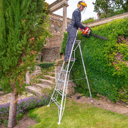 Hedge cutting using Henchman ladder