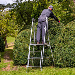 Using platform ladder