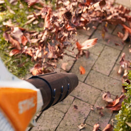 Leaf blower on path