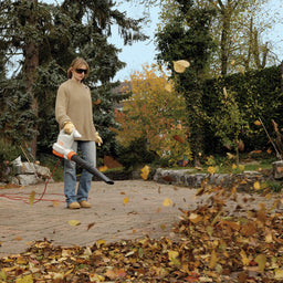 STIHL mains leaf blower