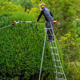 Hedge trimming on tripod ladder