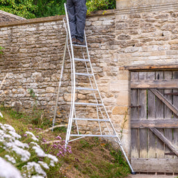 Adjustable ladder 10ft