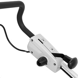 Stihl scarifier