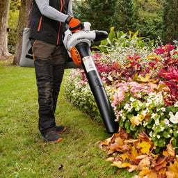 STIHL Vacuum clearing leaves