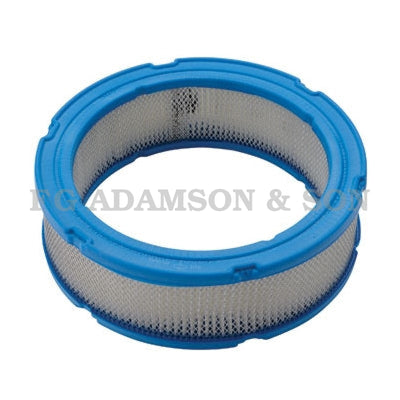 Briggs & Stratton Air Filter - 394018S