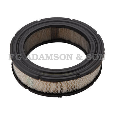 Briggs & Stratton Air Filter - 692519