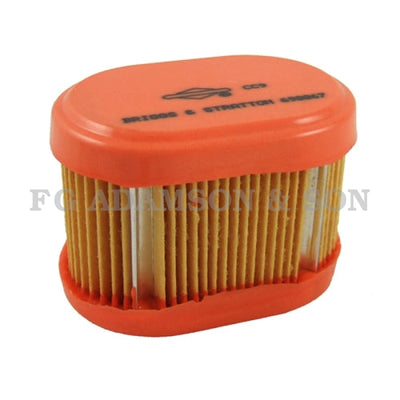 Briggs & Stratton Air Filter - 790166