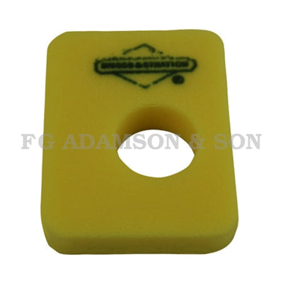 Briggs & Stratton Air Filter - 799579 (5 Pack - 4248)