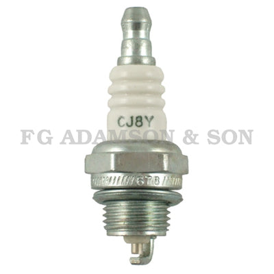 Champion Spark Plug - CJ8Y