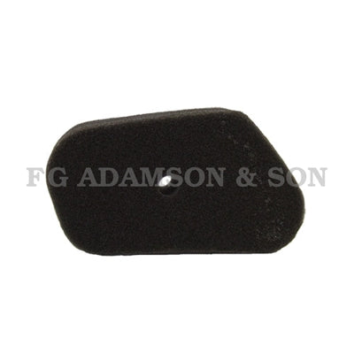 Honda Air Filter - 17211-ZG1-700