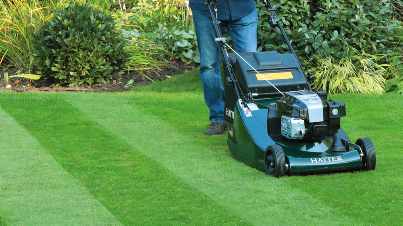 Our Top 6 Lawnmowers for 2026
