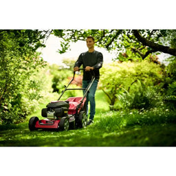 Mountfield SP46 Elite Lawnmower