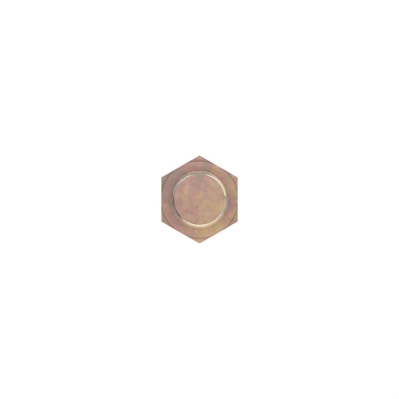 Cap Screw