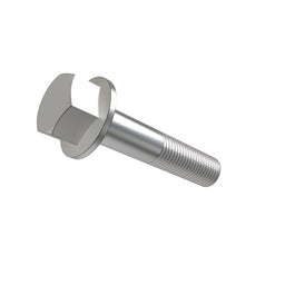 Screw