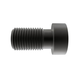 Screw