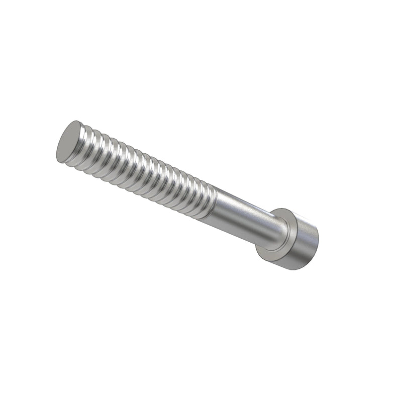 Screw