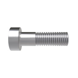Screw