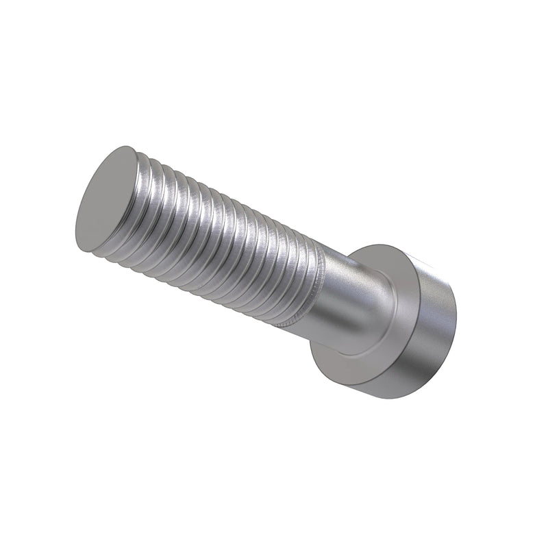 Screw