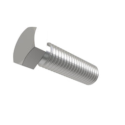 Screw