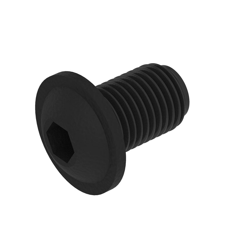 OVAL HEAD CAP SCREW M5X10 LAN999