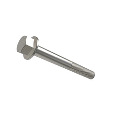 Screw