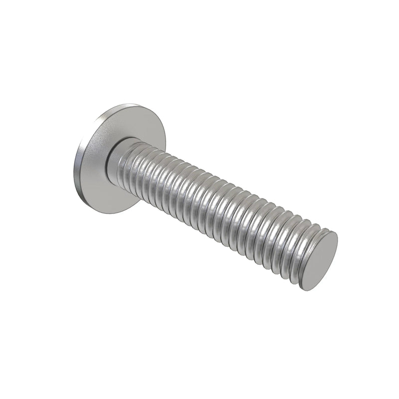 Screw