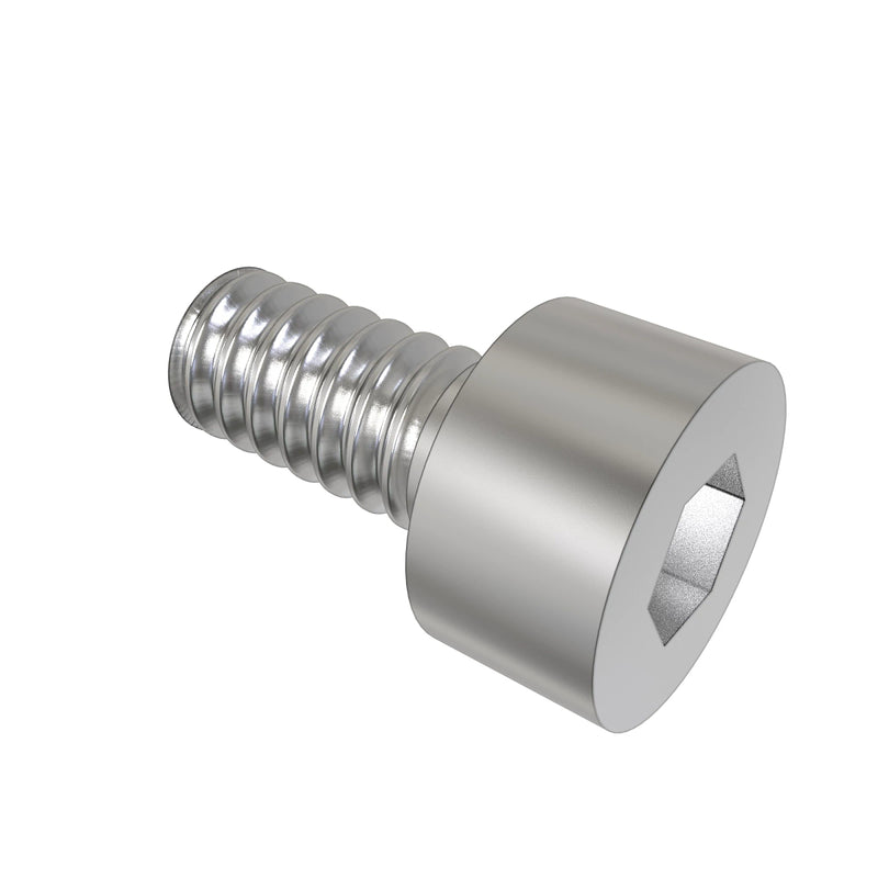 Screw