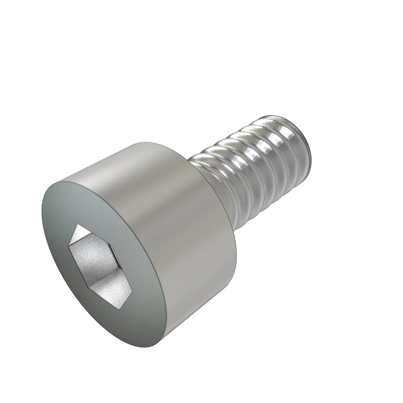 Screw