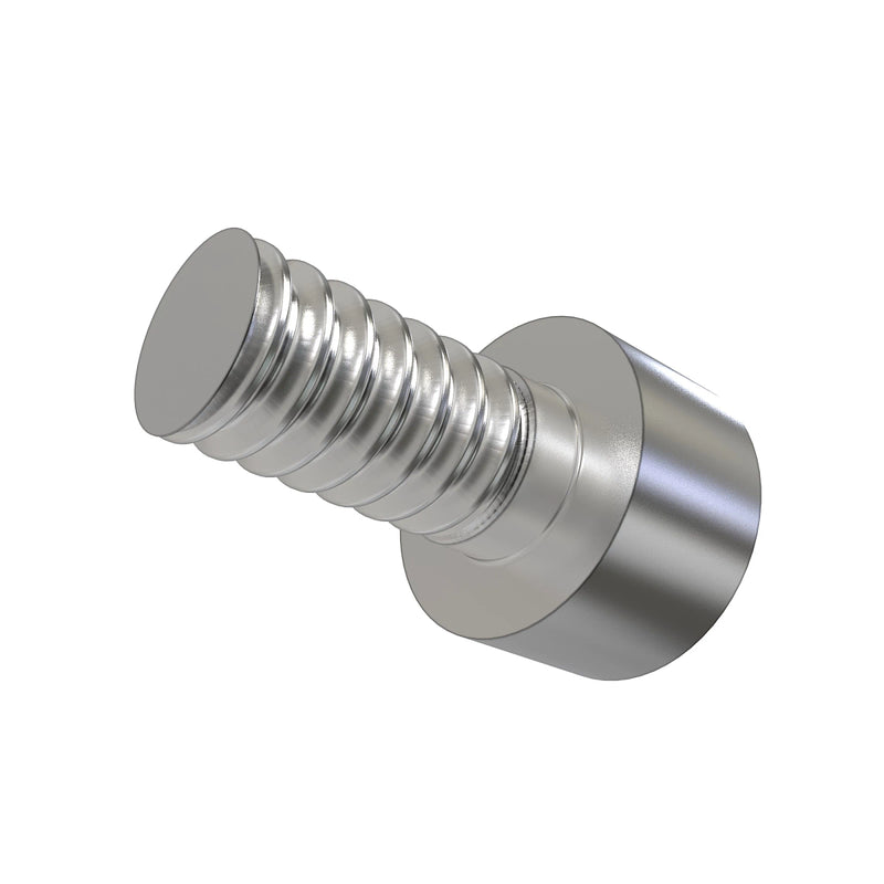 Screw