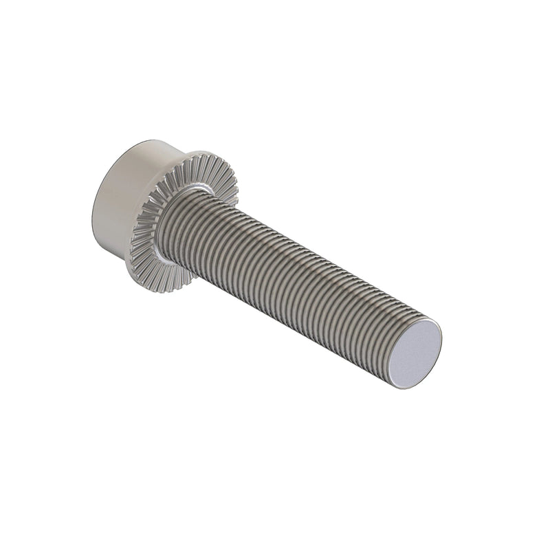 Socket Head Screw