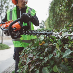 Echo HC-2810ESR Hedgetrimmer