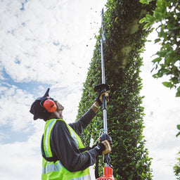 Echo HCA-2620ESHD Long Reach Hedgetrimmer