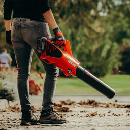 Echo DPB-310 Cordless Blower