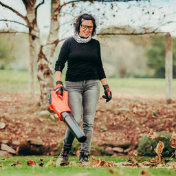 Echo DPB-310 Cordless Blower