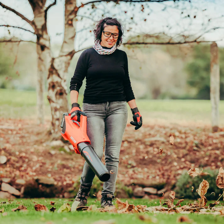 Echo DPB-310 Cordless Blower