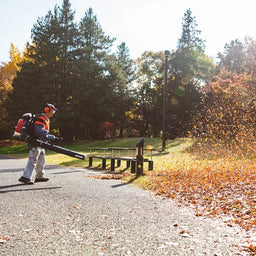 Echo PB-8010 Backpack Blower
