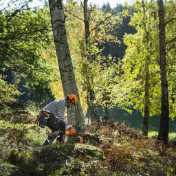 Husqvarna 450S Chainsaw