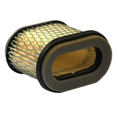 Briggs & Stratton Air Filter - 692446
