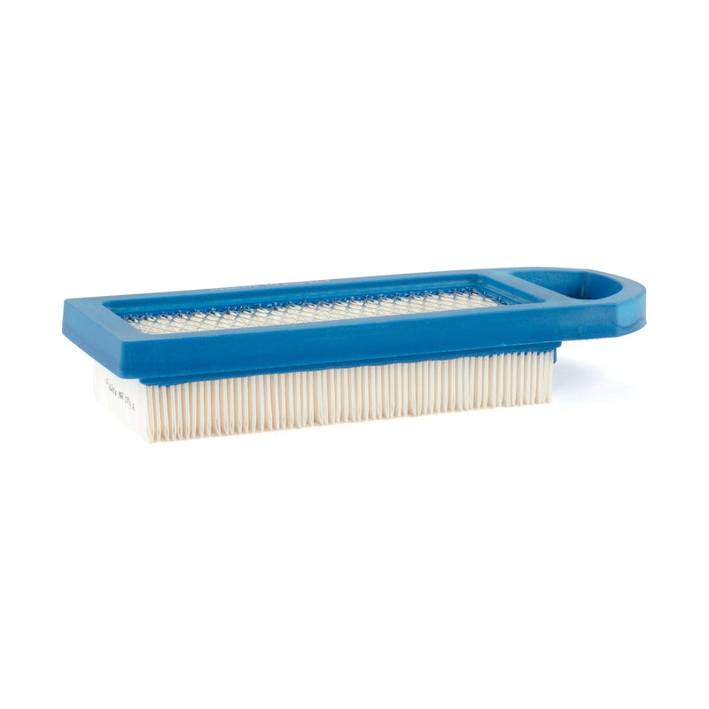Briggs & Stratton Air Filter - 795115
