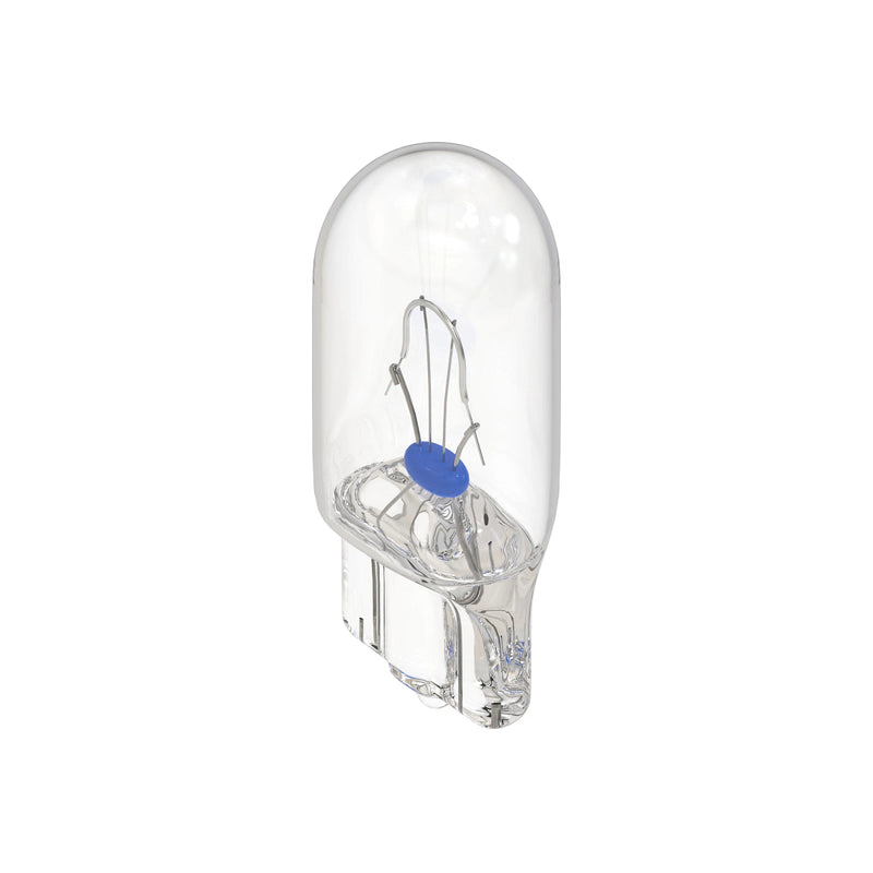 bulb
