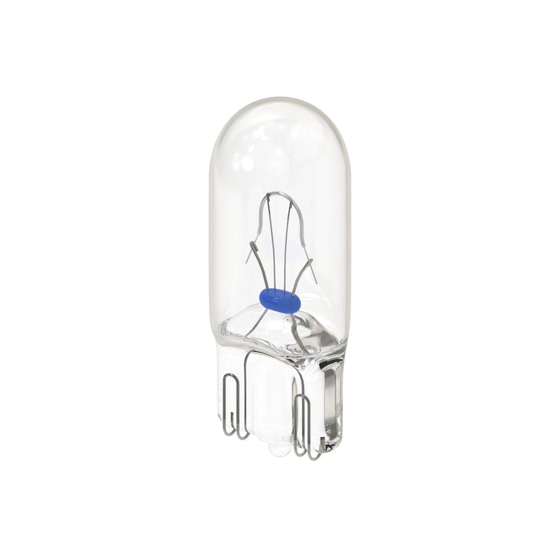 bulb